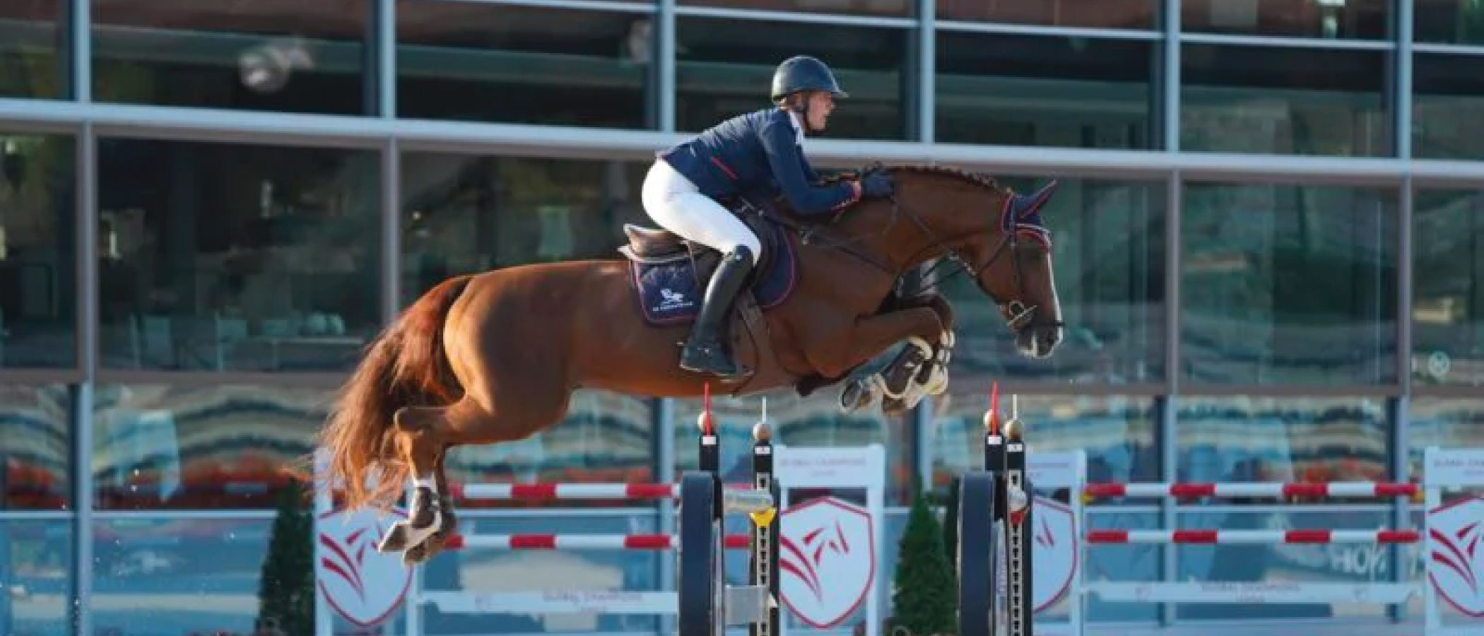 DALLAS-DU-DOMAINE-Z-desktop