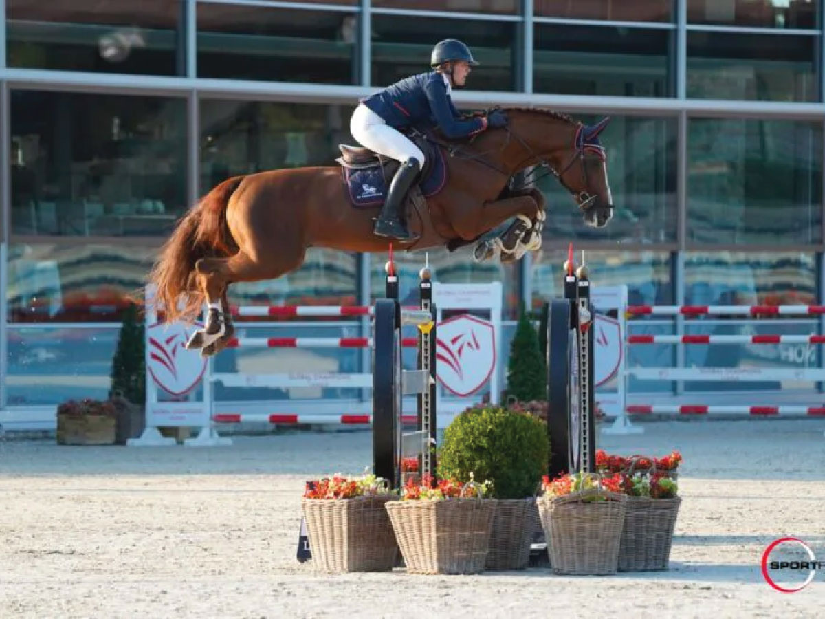 DALLAS-DU-DOMAINE-Z-mobiel