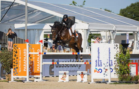 Jancoulavsco-fortuna-1