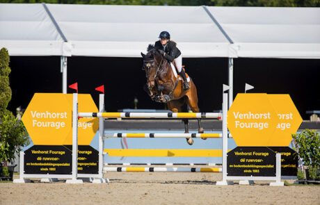 Jancoulavsco-fortuna-2