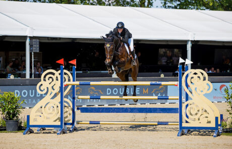 Jancoulavsco-fortuna-3