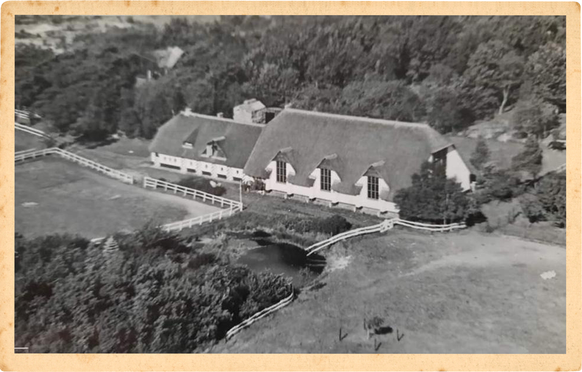 suus-kuyten-horses-locatie-1