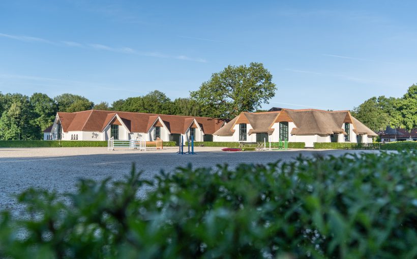 Rijbaan-Suus-Kuyten-Horses-2-820×510-2