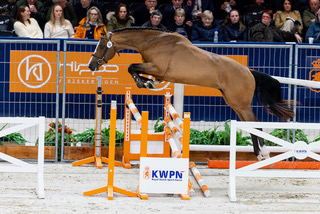 Taycan D-DENB26L91478 kopie